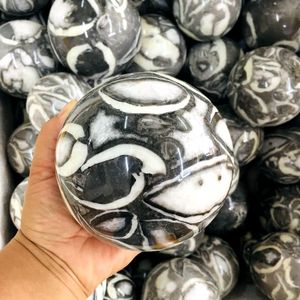 Sfera di cristallo di diaspro conchiglia lucidata a mille <span class=keywords><strong>occhi</strong></span> naturali affascinanti <span class=keywords><strong>per</strong></span> la decorazione - Product Image 1