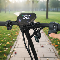 Scooter Eléctrico al por Mayor de 800W/1000W/1600W, 48V 13Ah-20Ah, Múltiples Opciones, Plegable, para Adultos, Todoterreno
