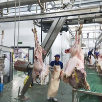 Machines d'abattage halal pour moutons, équipement d'abattoir pour l'industrie de transformation du bétail ovine
