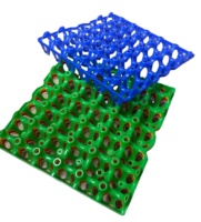 Plateau à oeufs en plastique antichoc multicouche personnalisable Boîte de stockage d'oeufs domestique commerciale Option d'impression de logo sans danger pour les aliments