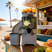 Presse-agrumes automatique en acier inoxydable pour usage commercial, extracteur de jus haute performance pour les bars à jus et les cafés