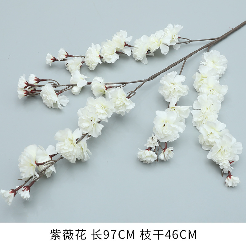 Blanc