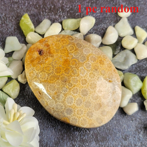 Venta al por mayor de piedras de coral natural pulidas, piedras de jade para la palma de la mano, piedras curativas, piedras de cuarzo para la decoración del hogar y la oficina, regalo para el Día de Acción de Gracias - Product Image 3