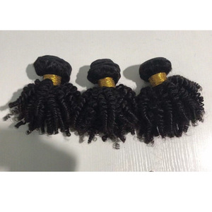 Perruque pour femme 8-20 pouces, Afro Kinky Curly, Double Drawn, Trame plate, Remy Funmi Spring Curl, noire, permable et colorable, effet rebondissant - Product Image 2
