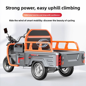 Tricycle électrique à 3 roues, caisse ouverte, moto cargo pour adultes, directement de l'usine - Product Image 4