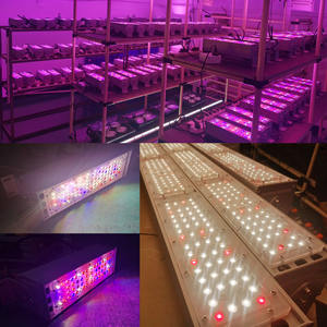 LIWEIDA <span class=keywords><strong>CE</strong></span> <span class=keywords><strong>Rohs</strong></span> Led Veg Grow light Red 200w Led UV Grow Lamp Linear High Bay Grow Led Bloom Flower Seed - Product Image 2