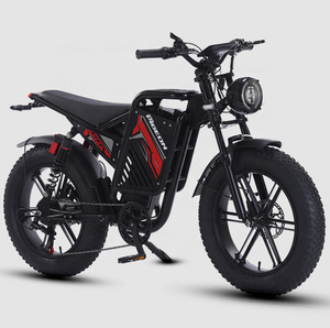 Vélo à neige à pneus larges, mini-moto électrique, double moteur, vélo à assistance électrique, double suspension, double transmission - Product Image 2