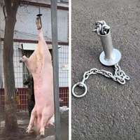 Gambrel professionnel pour animaux - Capacité lourde de 150 kg pour le boucherie du bétail