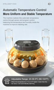 WONEGG Nueva Tendencia Incubadora de Huevos Mini con Control por Voz <span class=keywords><strong>Howard</strong></span> 12, Incubadora Automática para Pollos - Product Image 6