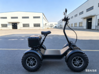 Chariot utilitaire électrique de plage à quatre roues Leodoo avec une vitesse de 50-70 km/h et une autonomie de 50-70 km