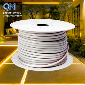 Tira de <span class=keywords><strong>LED</strong></span> COB de PVC de 220 V, sin puntos, 100 m/rollo, <span class=keywords><strong>luz</strong></span> <span class=keywords><strong>LED</strong></span> de 110 V, cinta <span class=keywords><strong>LED</strong></span> impermeable IP65, iluminación exterior, tira de <span class=keywords><strong>LED</strong></span> enchufable de 110 V y 220 V - Product Image 1