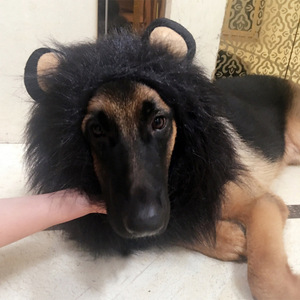 Chapeau Perruque <span class=keywords><strong>Chien</strong></span> Lion pour Farces et Transformations, Écologique, Motif Uni, en Polyester, pour <span class=keywords><strong>Golden</strong></span> <span class=keywords><strong>Retriever</strong></span> - Product Image 4