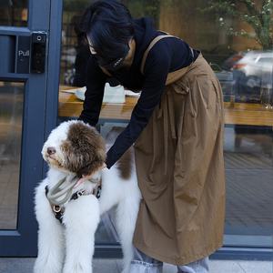 Grembiule in cotone sottile estivo di fascia alta per il commercio estero lungo plissettato idrorepellente per unghie copri vita - Product Image 2