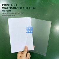 Película de Impresión en Blanco a Base de Agua al por Mayor, 190*120MM, Tamaño Personalizado OEM para Máquina Plotter Integrada de Impresión y Corte