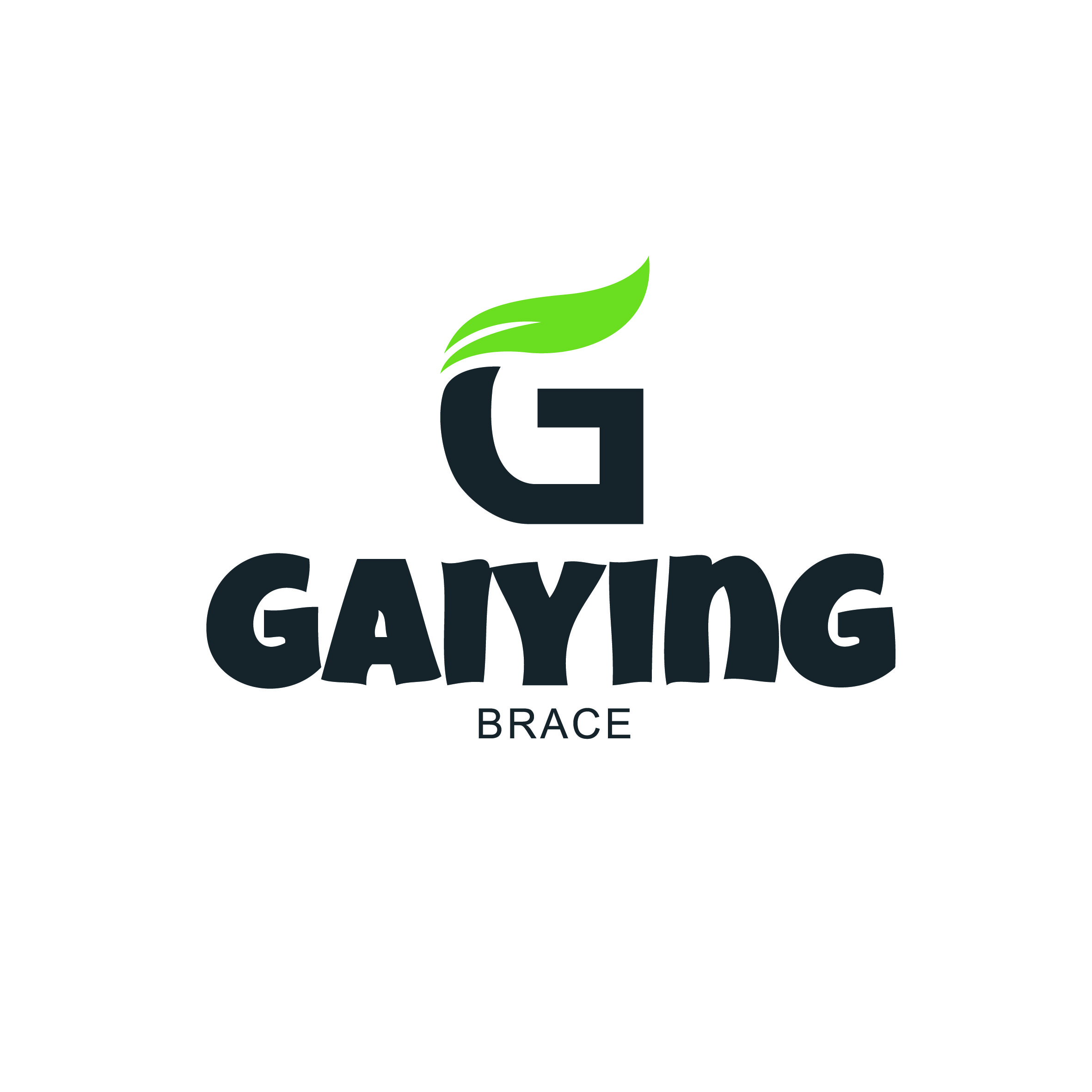 Shijiazhuang Gaiying Technology Co., Ltd. logo