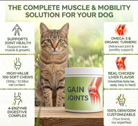 Pâte multivitaminée pour chiens et chats – Soutien immunitaire, vitamines A/B1/B2, minéraux – Formule sûre à ingrédients limités – Toutes races – 1g/unité