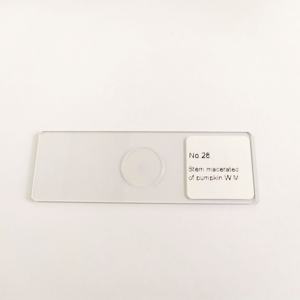Tallo de alta calidad macerado de portaobjetos de vidrio de microscopio de calabaza portaobjetos de microscopio preparados - Product Image 1