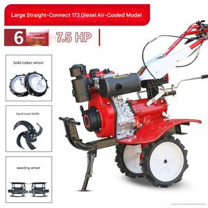 Piccola Motozappa Diesel Portatile per Uso in Orti e Frutteti - Product Image 2