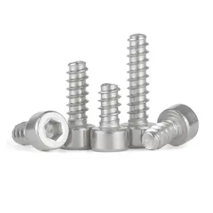 Stainless Steel A286 18-8 SS201 304 316 316L A2 A4 Plain Flat Tail C Type Hexagon Hex Socket Cup Head Tapping Screw WS 9200