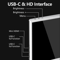 Écran d'ordinateur portable OLED IPS de 14 pouces avec interface Type C, design portable, résolution Full HD 1920x1080, Plug and Play