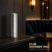 Diffuseur d'huiles essentielles électriques promotionnel, atomiseur de parfum en gros, distributeur de parfum pour hôtel, maison, voiture, contrôlé par application