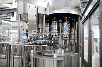 Ligne Complète Automatique pour la Production d'Eau Minérale en Bouteilles PET, Machine de Remplissage pour Petites Bouteilles d'Eau Pure