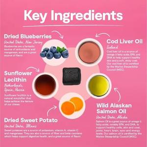 อาหารเสริมสำหรับสุนัขแบบเคี้ยวเนื้อนุ่ม OEM ODM สูตรโปรตีนสูง บำรุงผิวหนังและขน ด้วยกรดไขมันโอเมก้า ช่วยเสริมสร้างภูมิคุ้มกัน โอเมก้าซอฟท์ชิวส์ - Product Image 2