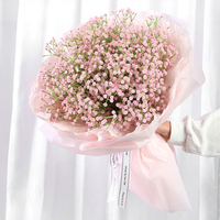Gypsophile Artificielle en Gros, Toucher Réel, pour Mariage et Décoration Intérieure, Fleur Artificielle Souffle de Bébé