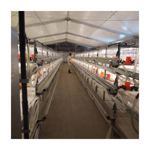 Yeni H tipi çelik galvanizli otomatik Broiler katmanlı kafes tavuk yetiştiriciliği perakende hayvan kafesi ekipmanları - Product Image 6
