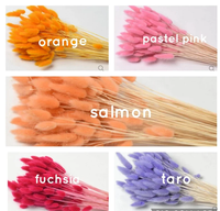 Bouquets de Lagurus séchés naturels de haute qualité, herbe à queue de lapin - 60 tiges, fleurs décoratives pour mariage, maison, fête des mères, Noël