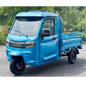 2025 nuevo Triciclo de carga motorizado Semi cabina cerrada EEC EU Stock Triciclo de carga con cubierta de carga de plástico - Product Image 3