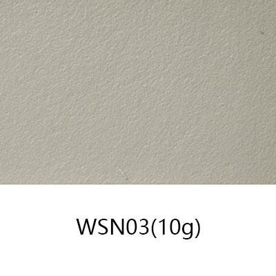 WSN03(10g)