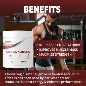 Capsules d'extrait de Fadogia Agrestis en gros, fabrication OEM, pour booster l'énergie, la croissance musculaire et les performances athlétiques - Product Image 2