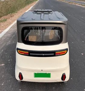 Mini coche eléctrico comercio cuanto conversión gato operado preciso persona 2.2kw Chang mostrar movilidad