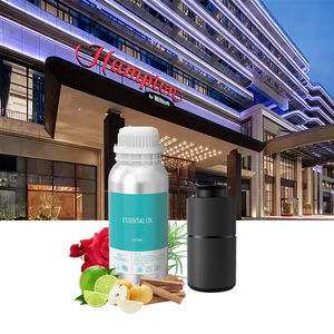 Sıcak satış yüksek konsantre 500ML 1L saf doğal bitki özü koku yağı meyveli hindistan cevizi tozu otel difüzör yağ - Product Image 1