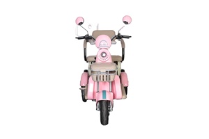 Tricycle électrique EEC Trice 300-8 48V à 3 roues en acier avec moteur arrière de 600W pour adultes et personnes âgées, carrosserie ouverte - Product Image 3