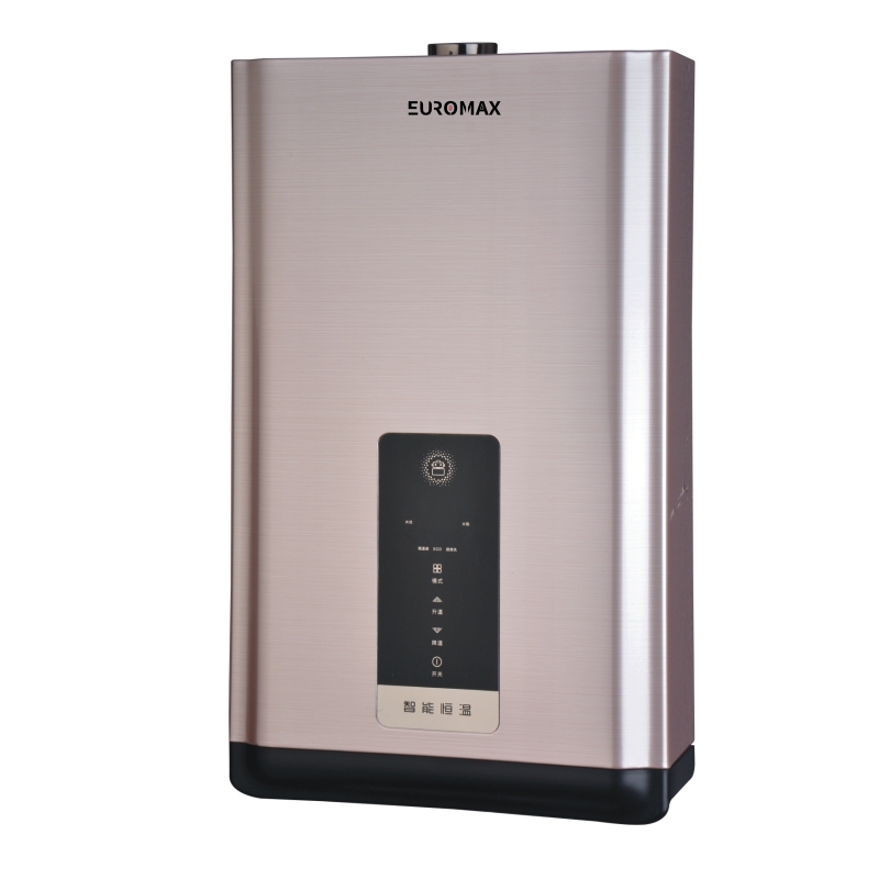 High quality Constant temperature Gas Water