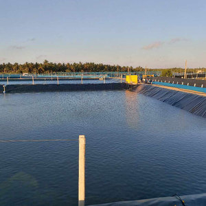 HDPE Geomembrane 0.75M 1.0mm impermeável ao ar livre anti-corrosão anti-infiltração forro para Dam Lake Reservoir Pond projetos - Product Image 2