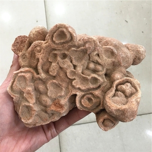 Venta al por Mayor de Especímenes Minerales Fósiles de Piedra Natural en Bruto, el Ojo del Desierto del <span class=keywords><strong>Sahara</strong></span>, para Decoración - Product Image 3