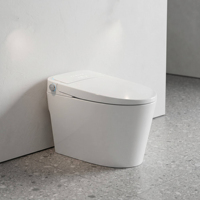 WC intelligent WaterMark, finition mate beige crème, sans réservoir, avec halo latéral bleu, bouton en alliage, sans rebord, chasse d'eau automatique, bidet intégré
