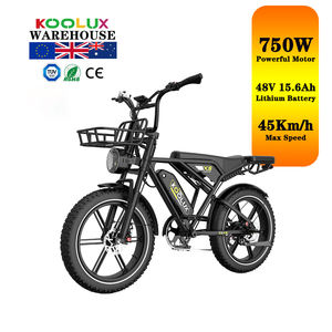 Vélo électrique à gros pneus KOOLUX X9, livraison rapide, cadre en acier, moteur sans balais 250W 48V 15.6Ah, longue autonomie, pour adulte - Vente flash - Product Image 1