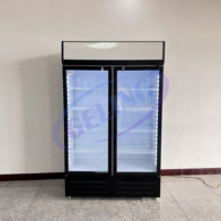 Vitrine Réfrigérée de Bar, Réfrigérateur Vertical à Porte Vitrée Commerciale, Vitrine Unique pour Boissons