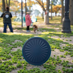 Nuevo rastreador portátil para perros y gatos, buscador inalámbrico antipérdida con alerta fuerte y batería de larga duración para Android e IOS - Product Image 1