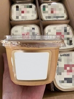 Sulide Nouvelles Tendances Carré En Plastique Pot De Yaourt En Plastique 500ml Transparent PP Tasses De Yaourt Grec avec Couvercles