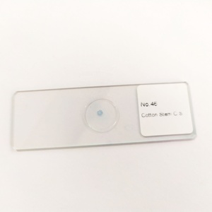 Planta de algodón madre microscopio diapositivas preparadas botánica diapositivas para investigación médica. - Product Image 1
