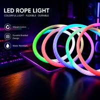 Bande LED flexible en silicone, néon tressé RGB adressable WS2811, 360 degrés, DC24V, étanche IP67, couleur de rêve