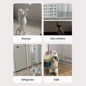 Giocattoli interattivi automatici del gatto della bacchetta del giocattolo del gatto per i giocattoli naturali della palla della piuma dell'uccello a mani libere del gatto dell'interno - Product Image 4