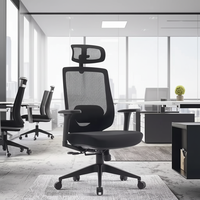 Chaise de bureau exécutive moderne de haute qualité pour usage domestique, couleur personnalisée, design ergonomique en maille, pivotante, réglable en hauteur, en nylon