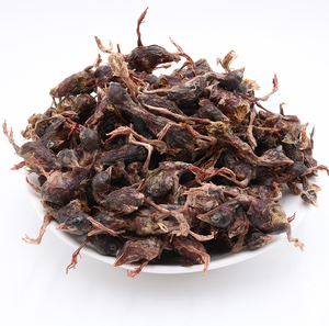 Oganic-Snacks liofilizados bebé pollo ganancia nutricional OEM/ODM comida para mascotas perros comida limpia dientes huesos fuertes Snack - Product Image 3