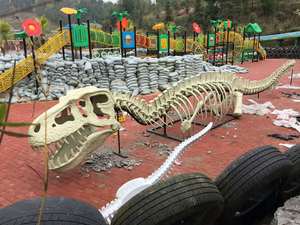 Decoración de Fósil de Dinosaurio Realista de Tamaño Natural para Uso en Interiores, Exhibición Educativa para Niños - Product Image 5